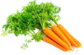 Huile de carotte bonne mine